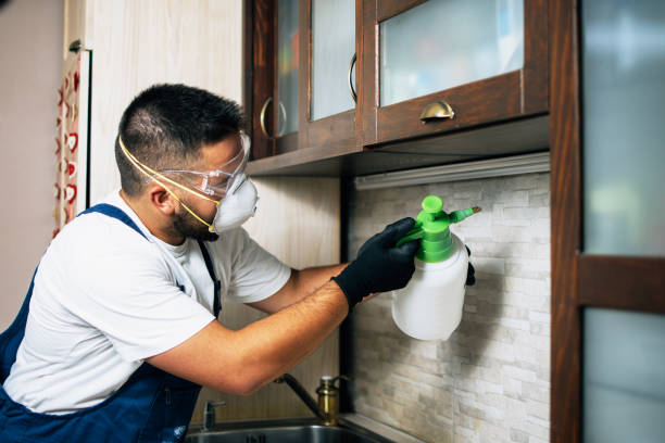 Best Emergency Pest Control  in Ocean Shores, WA