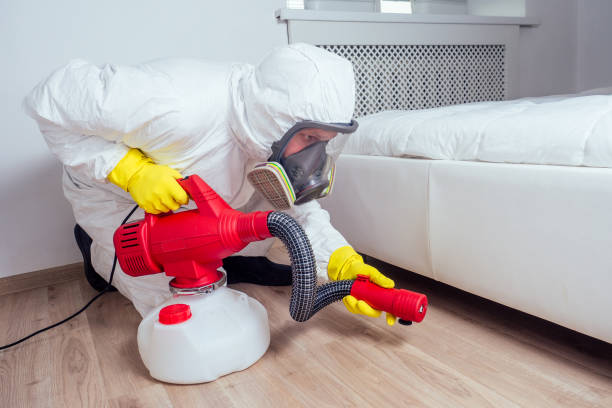 Best Insect Control  in Ocean Shores, WA