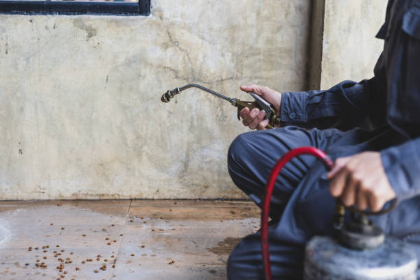 Best Wasp Removal Services  in Ocean Shores, WA